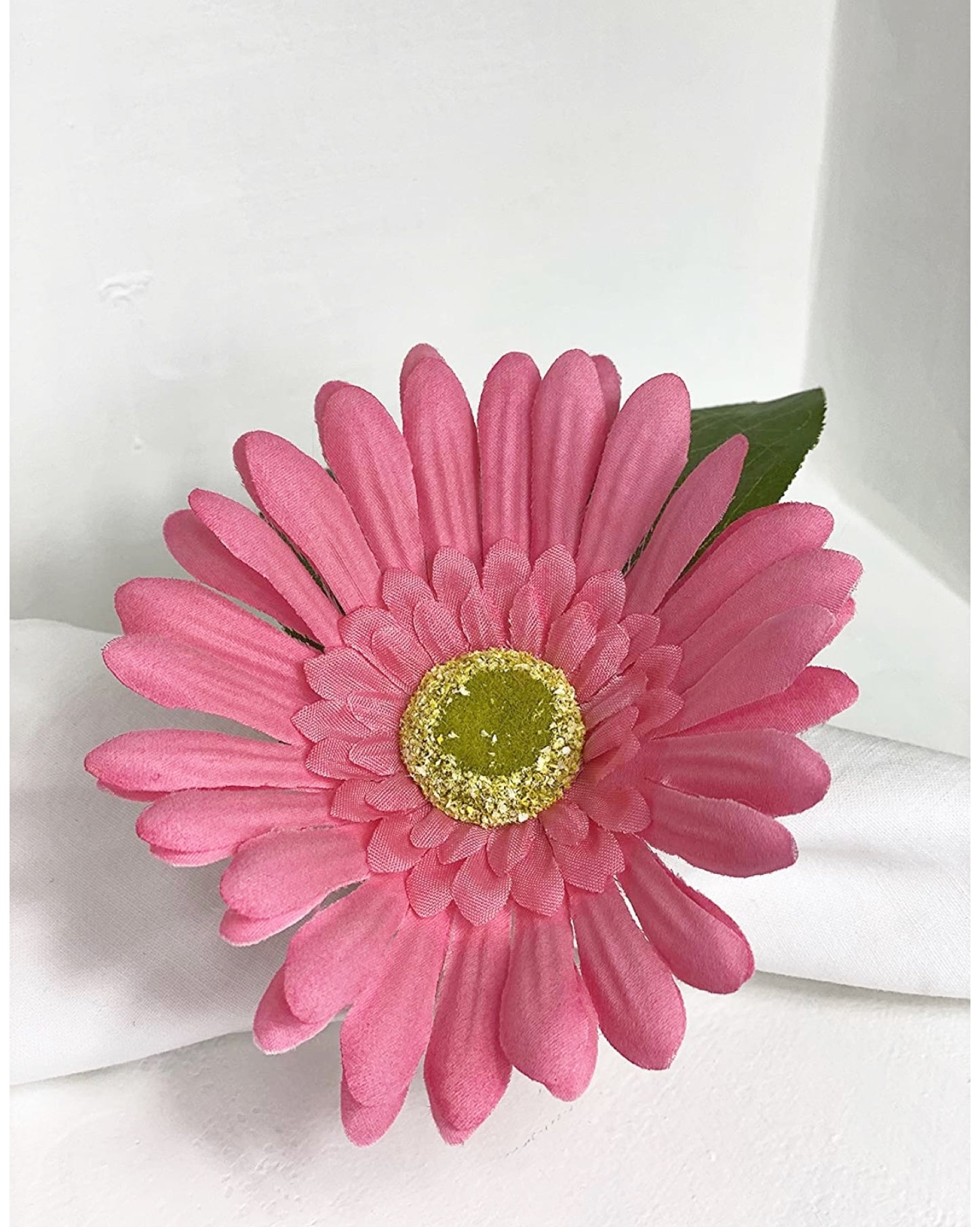 Pink Watermelon-Set of 4