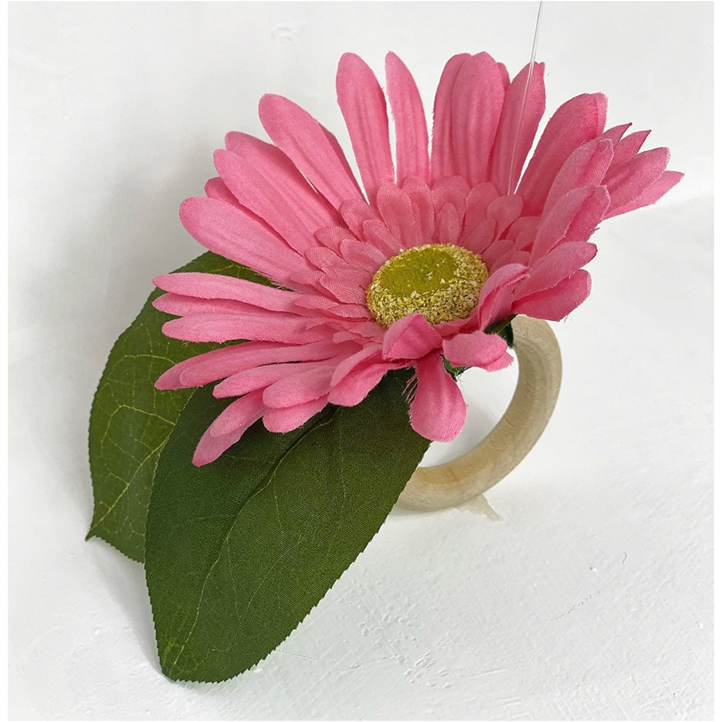 Pink Watermelon-Set of 4