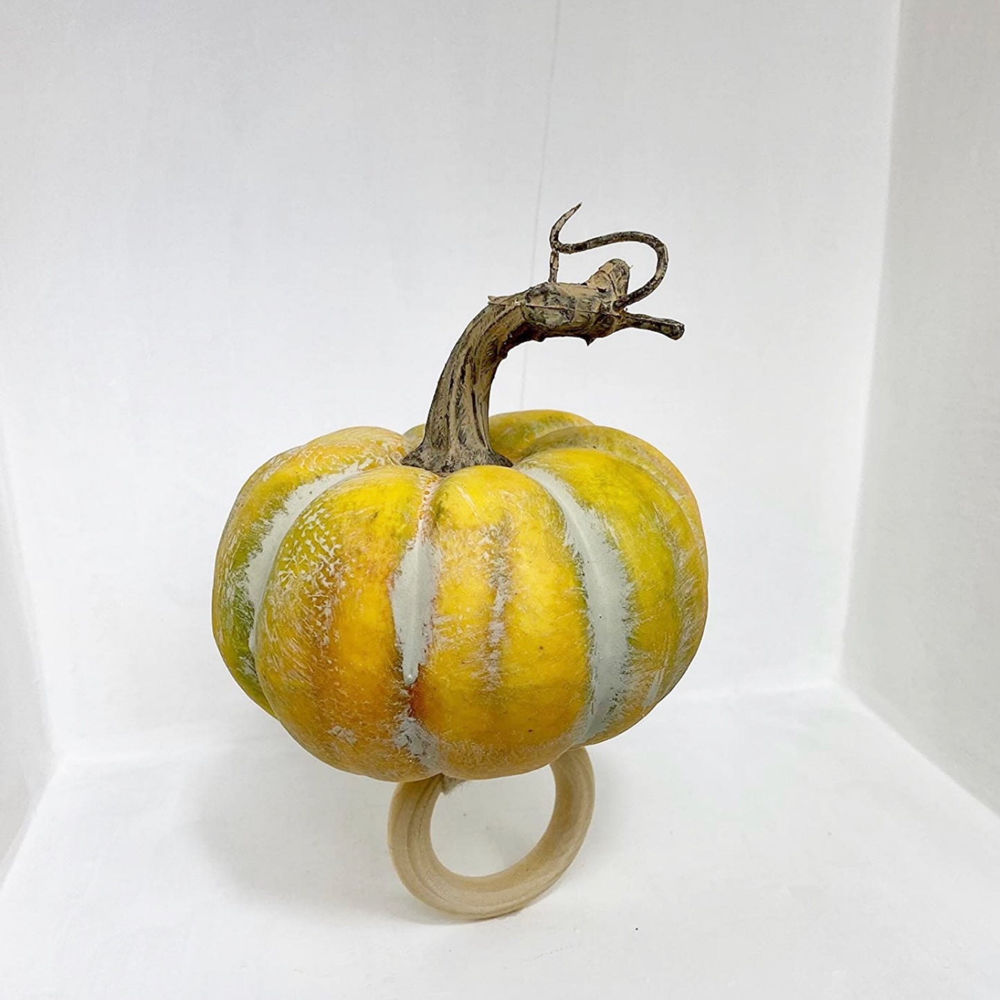 Fall Pumpkin-Set of 4